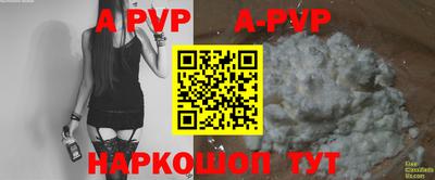 стаф Краснодар
